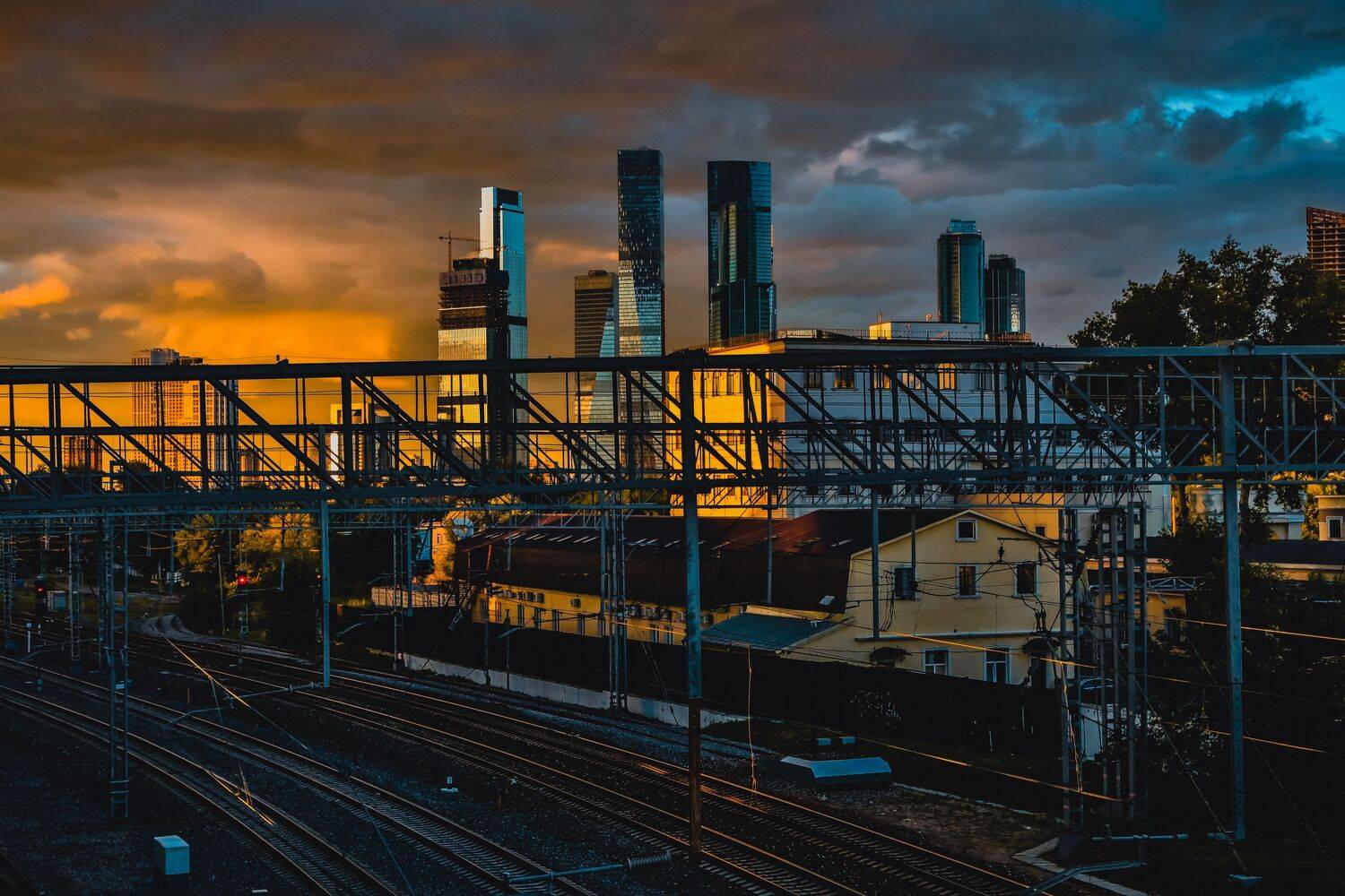 , Трепольский Дмитрий