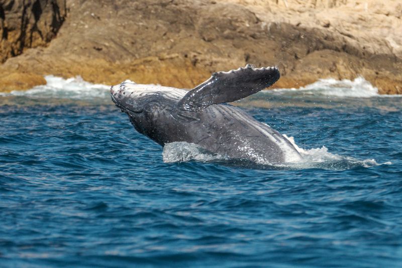 Первый полёт фото превью