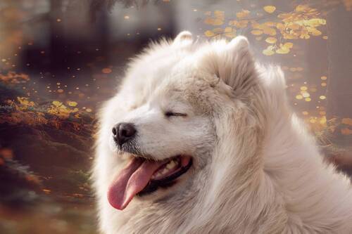 «Линия ветра»