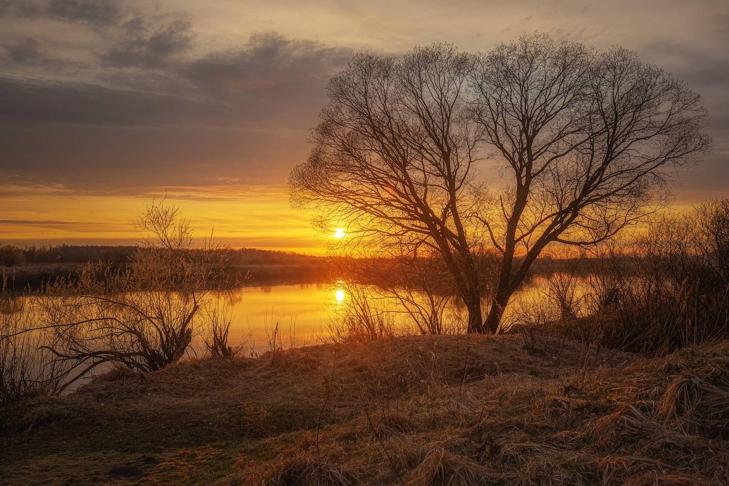 , Сёмин Илья