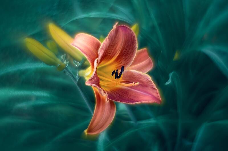 ... фото превью