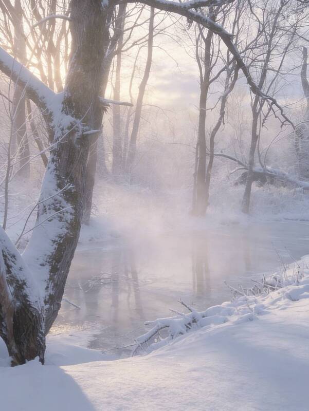 пейзаж, природа, зима, winter, nature, landscape *** фото превью