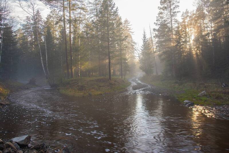 После дождя фото превью