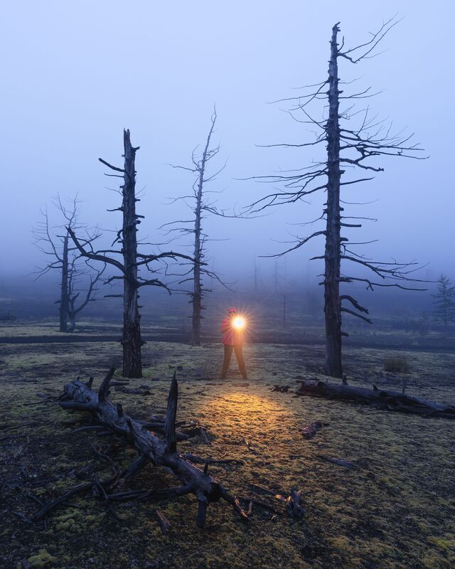 Среди тумана фото превью