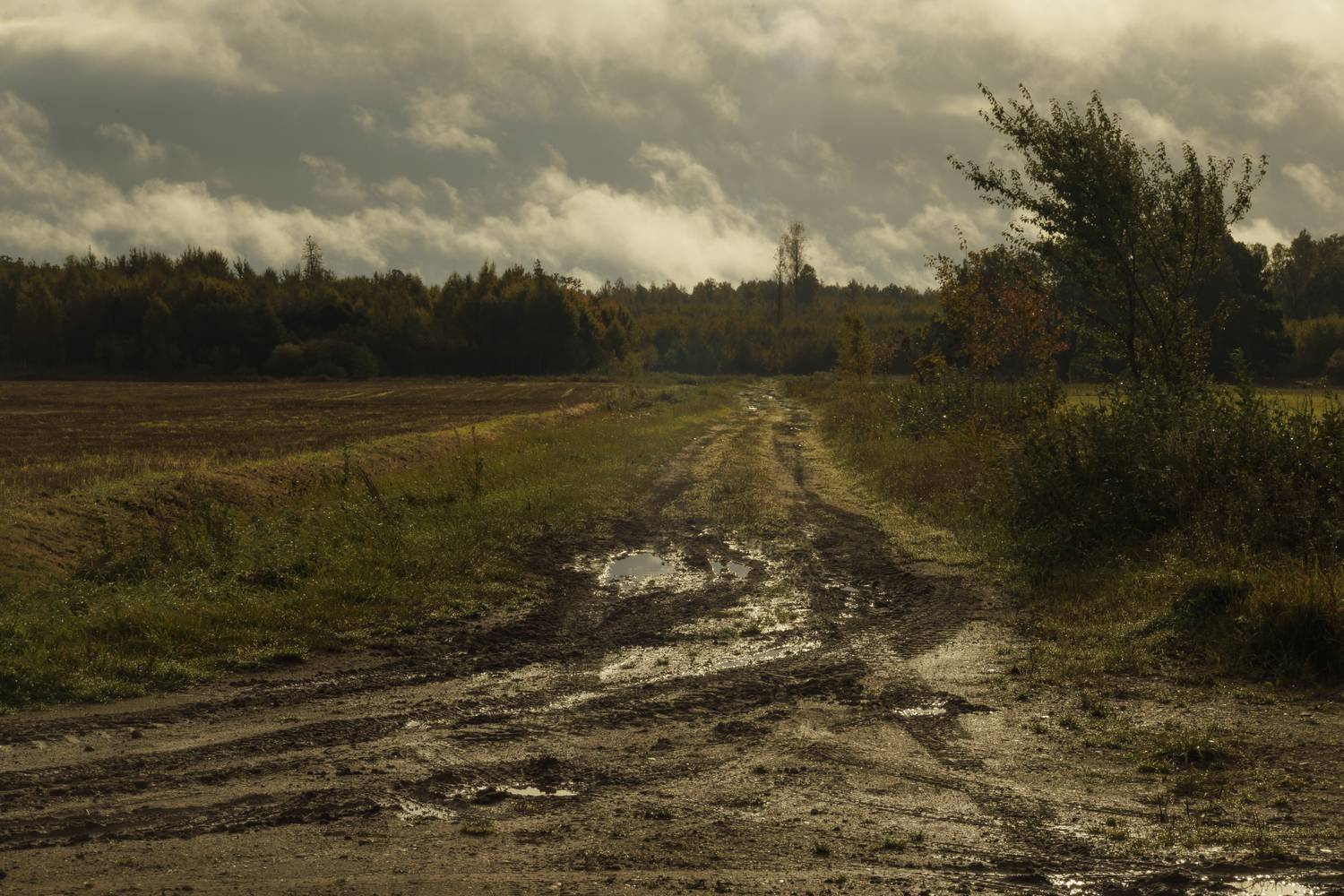 zeme, ceļ&scaron;, ainava, Cielava Dace