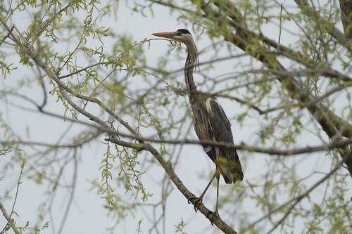 Маскировка