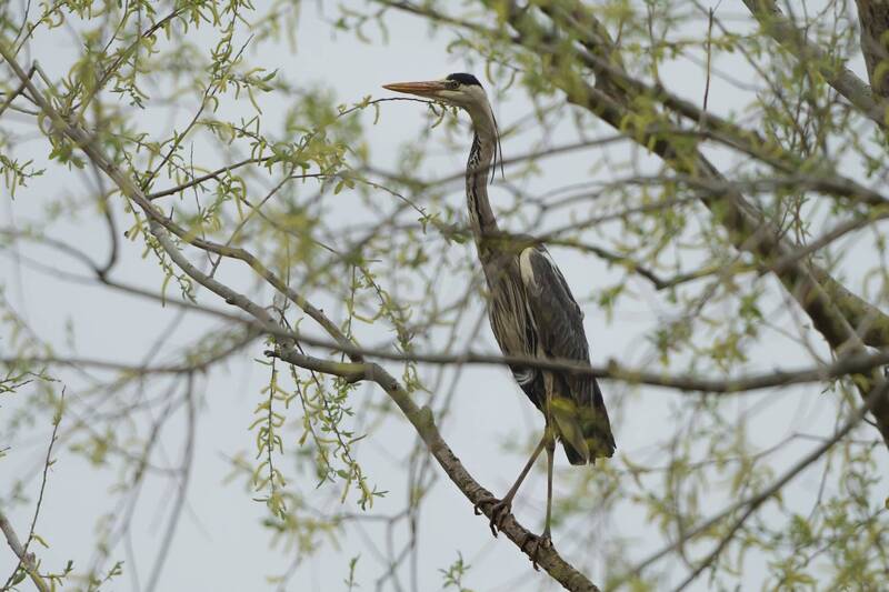 Маскировка фото превью