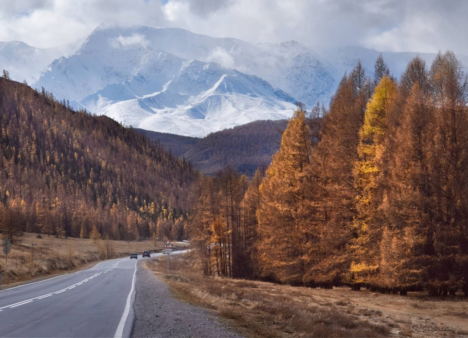 , Крат Светлана