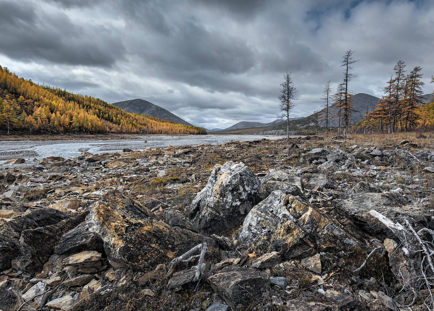 , Андреев Николай