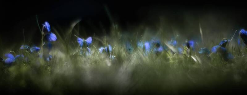 Синий караван фото превью