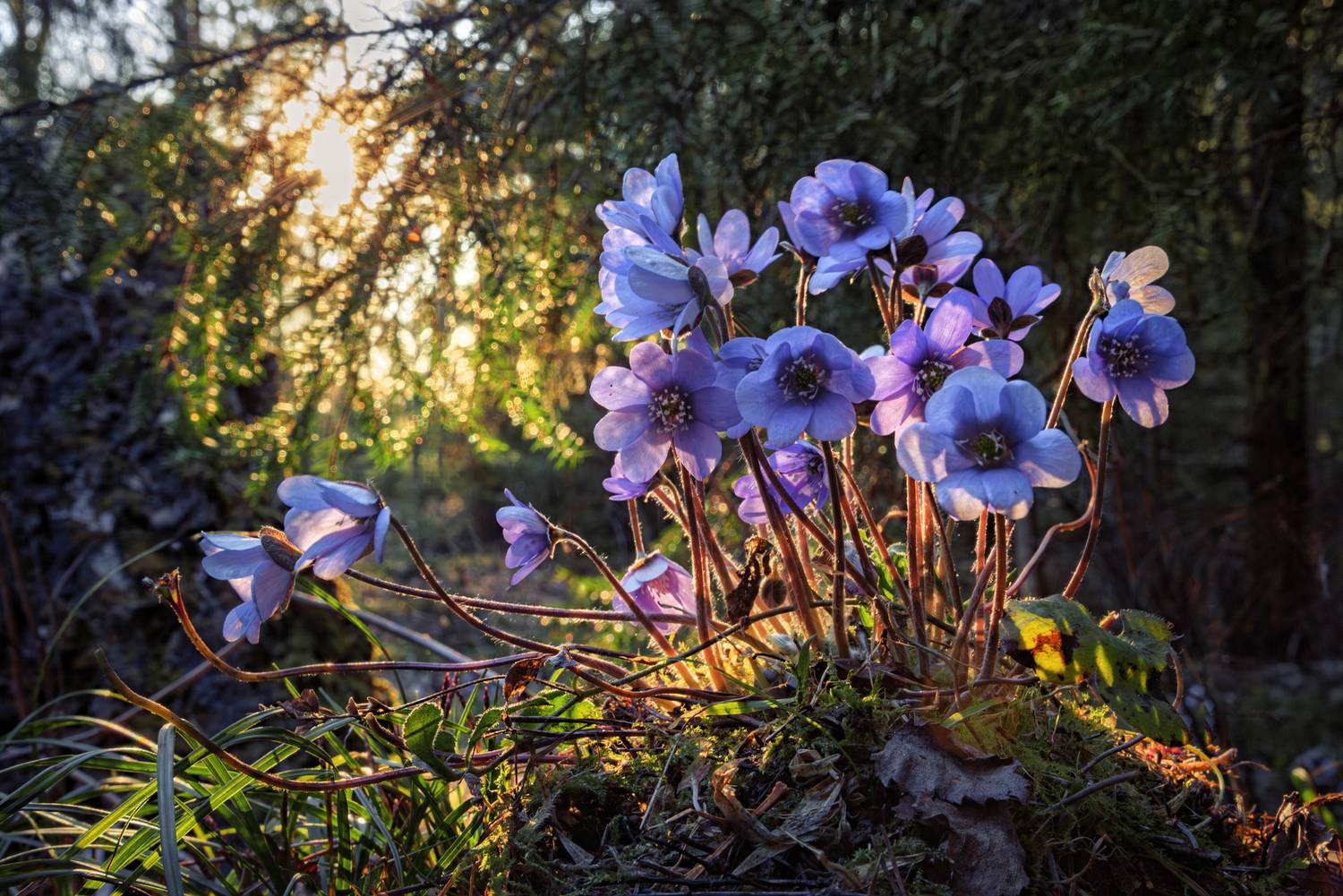 , Евгений Ерохин