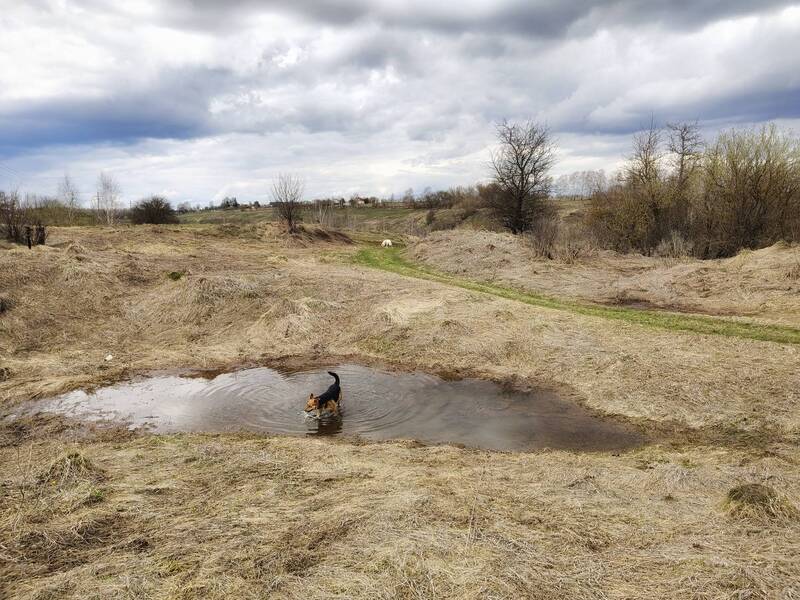 фото превью