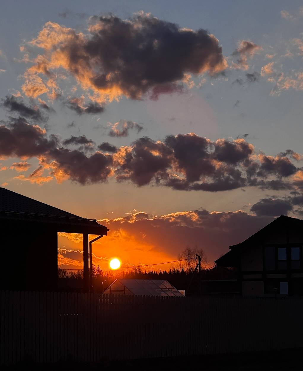 , Новикова Ольга