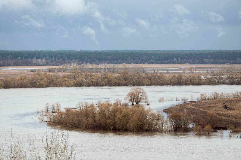 весна, рязань Разлив Оки и немного весны... Рязанская обл., 04.2026 фото превью