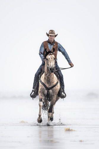The Passionate Equestrians, Masters of Equine Harmony