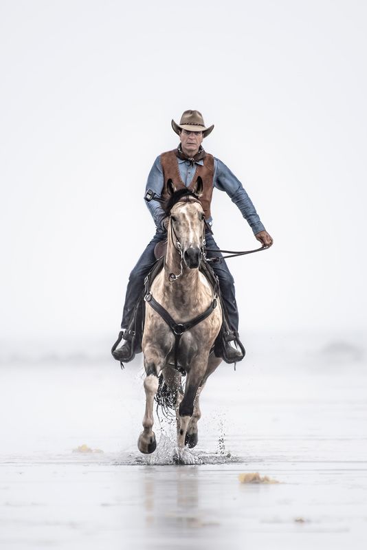 animal, horse The Passionate Equestrians, Masters of Equine Harmony фото превью