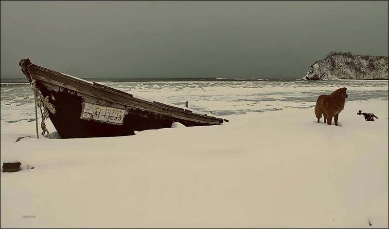 «Китайский баркас» фото превью