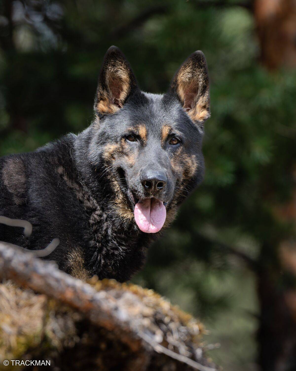 , Сергей Жиркевич