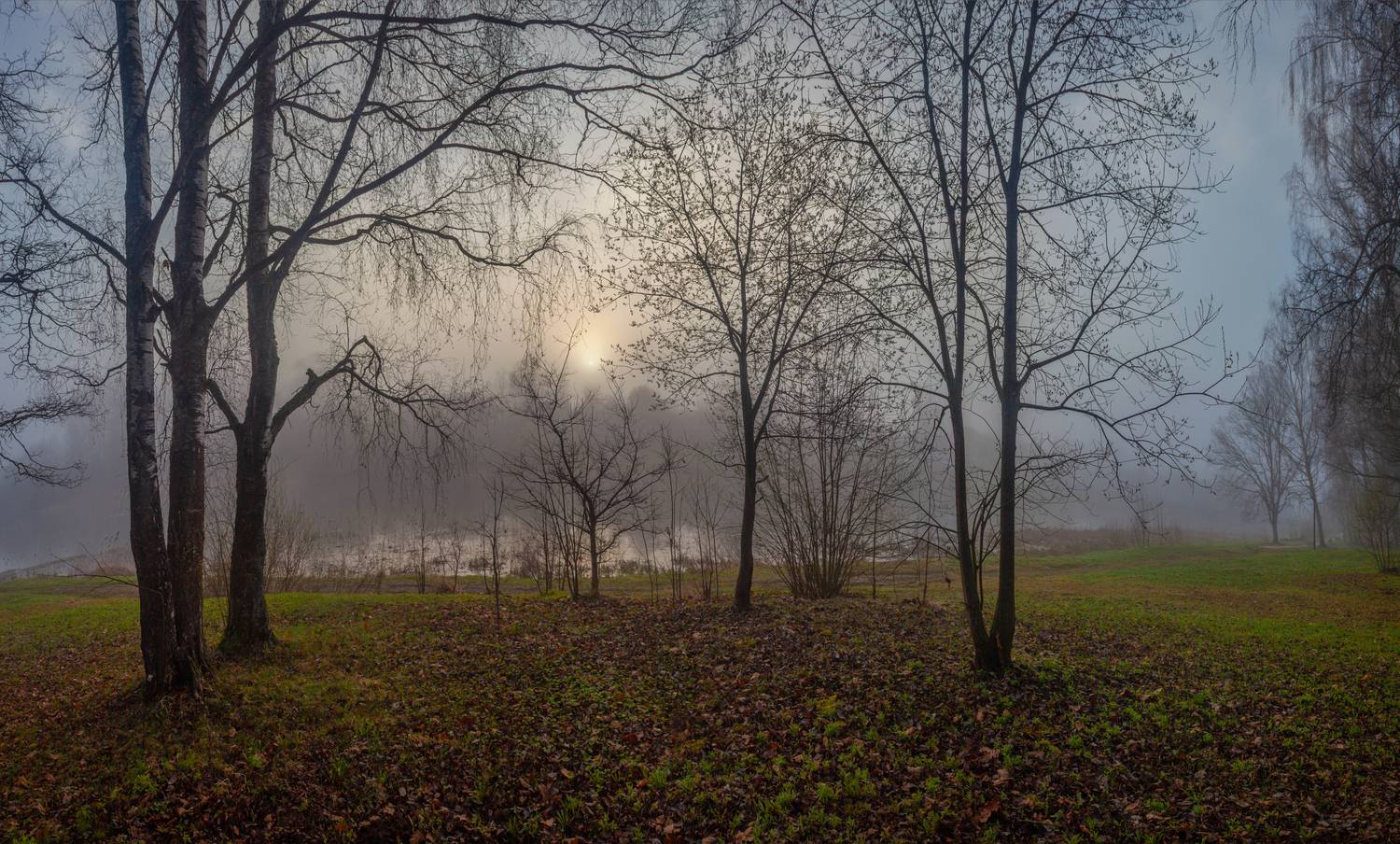 , Свистков Александр