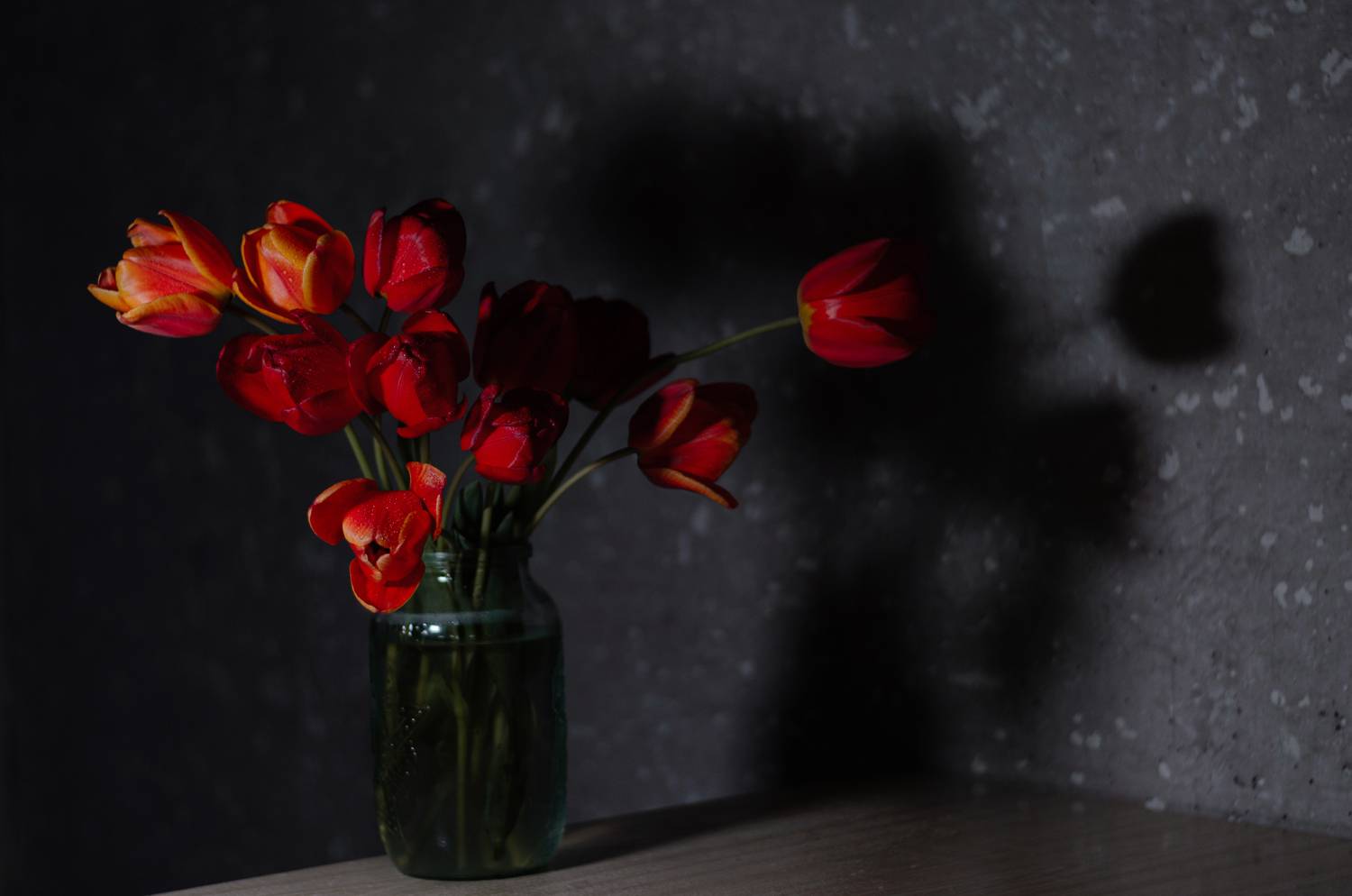 весна, апрель, цветы, тюльпаны, букет, свет, тень, фея, волшебство, сказка, красота, nikon, nikon_d5100, керчь, крым, россия, Щербак Анатолий