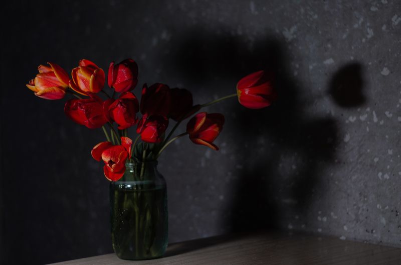 весна, апрель, цветы, тюльпаны, букет, свет, тень, фея, волшебство, сказка, красота, nikon, nikon_d5100, керчь, крым, россия Тюльпаны и фея. фото превью