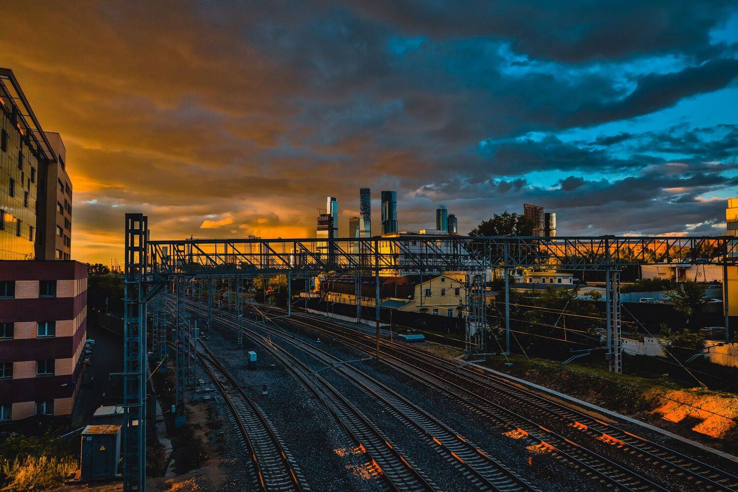 , Трепольский Дмитрий