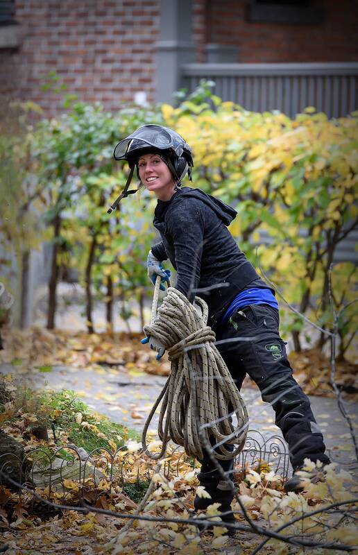 Обрезчица деревьев фото превью