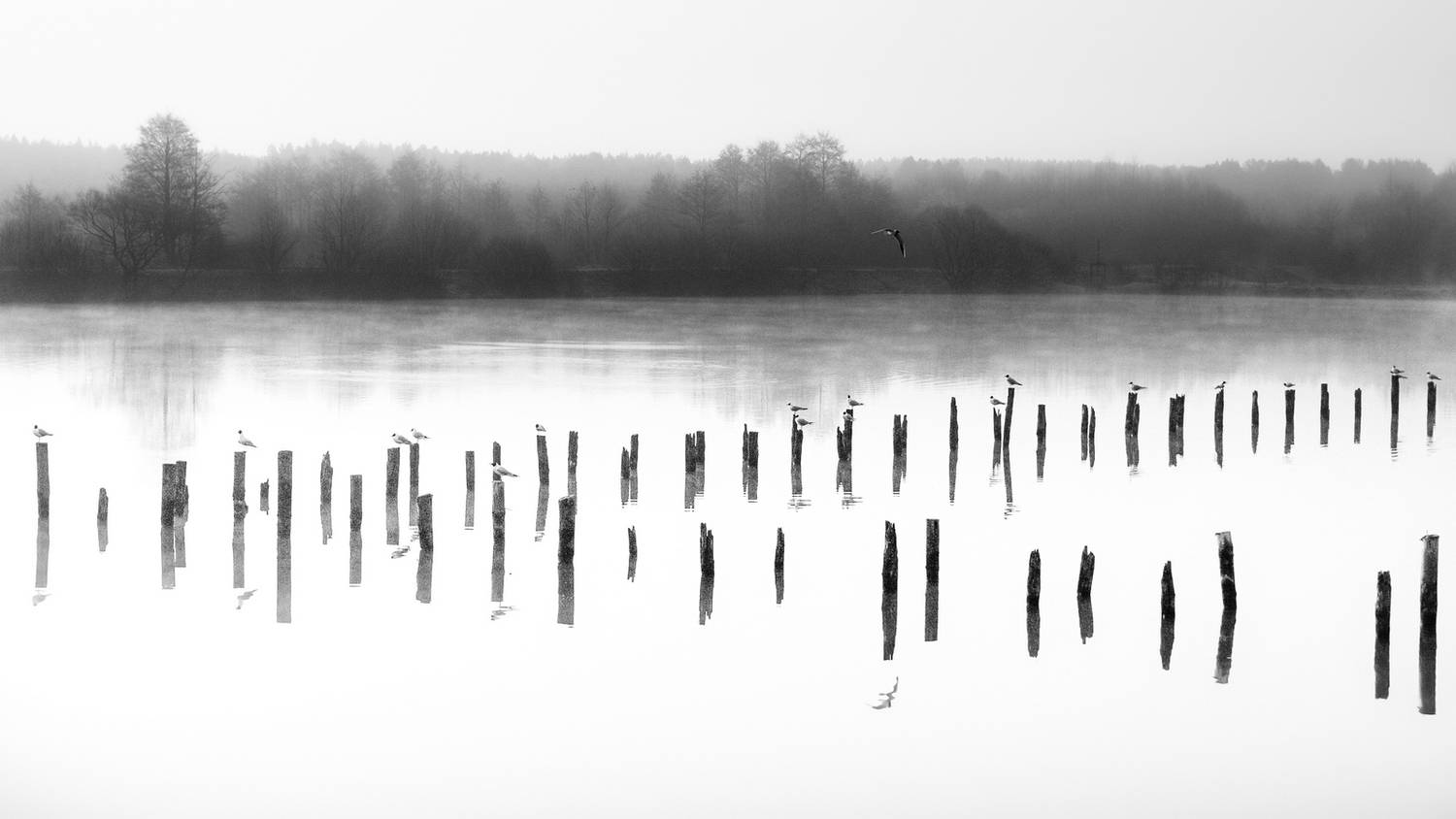 , Игорь Денисов