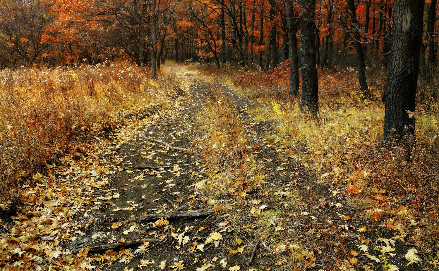 , Лысенко Сергей