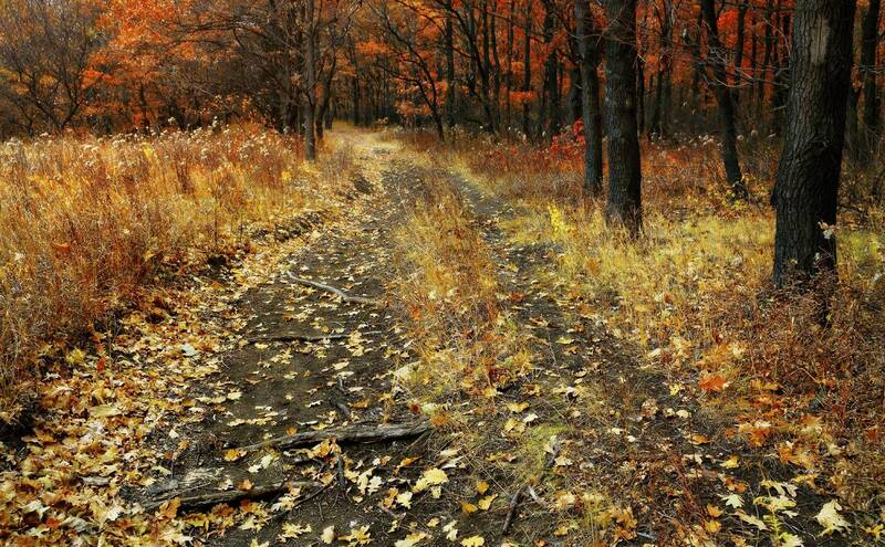 Осенней тропою... фото превью