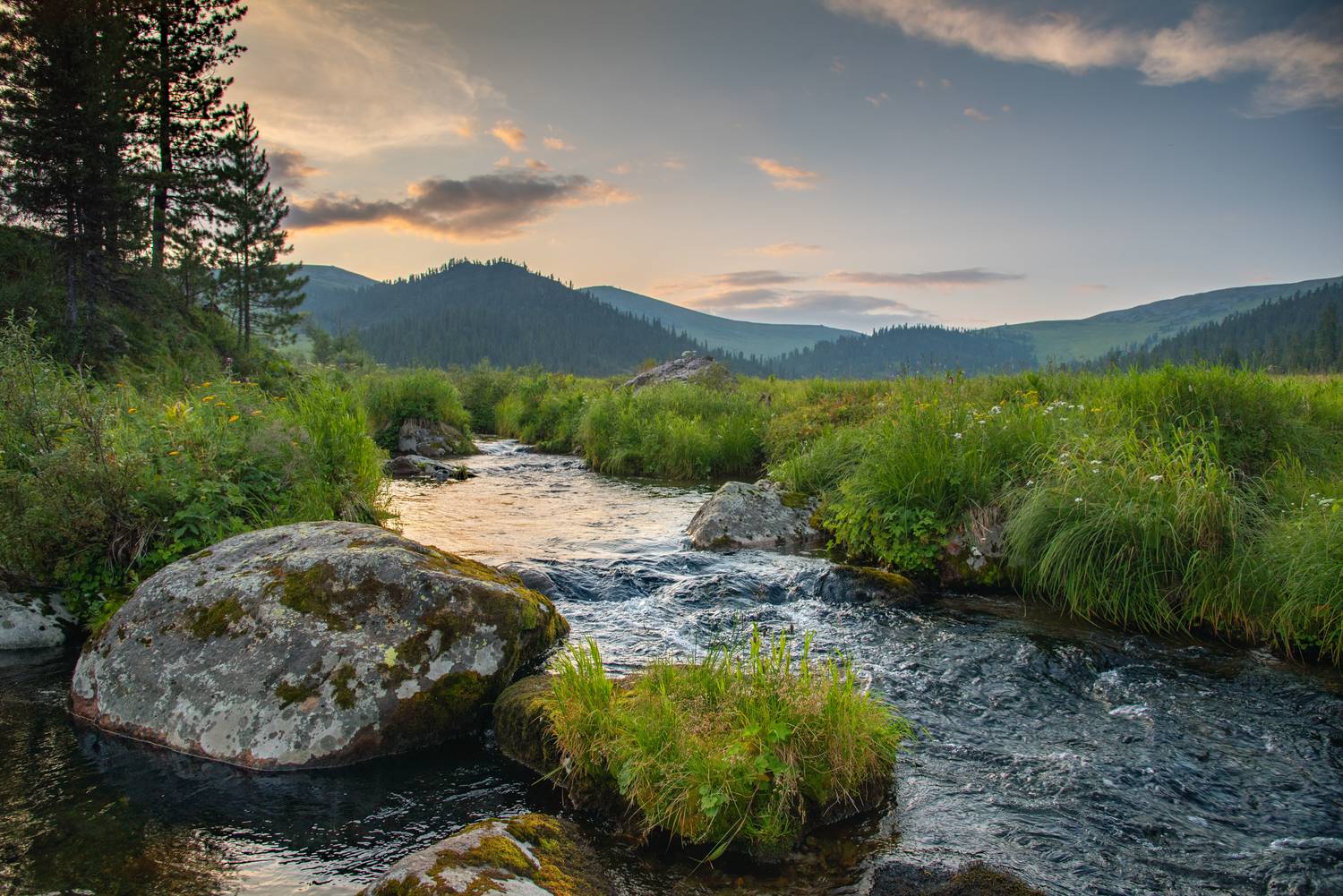 ергаки, Николай Владимирович