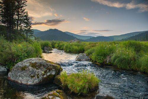 Горный ручей