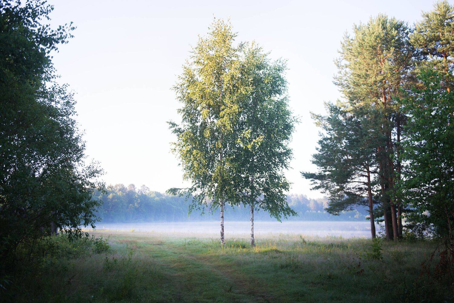 , Andrey