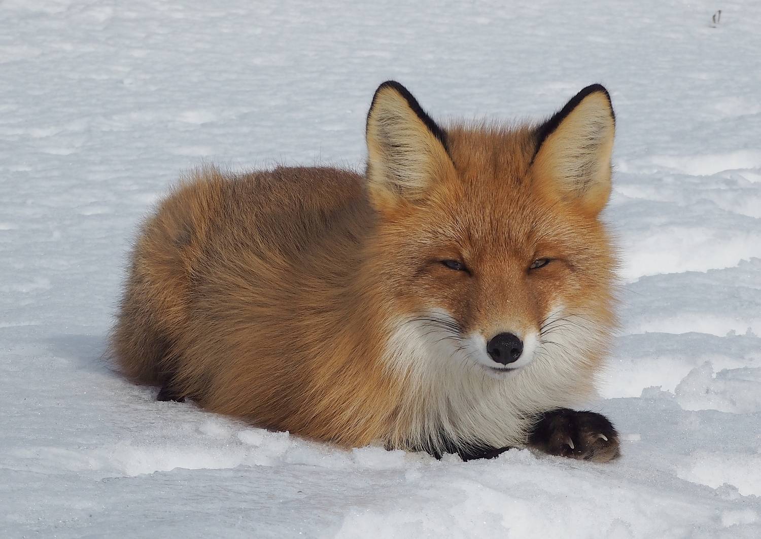 , Яковлев Евгений