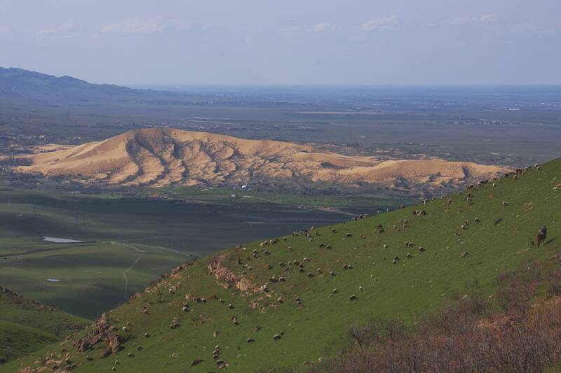 *** фото превью