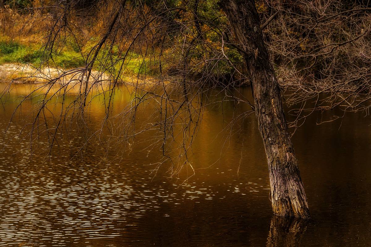 , Лысенко Сергей