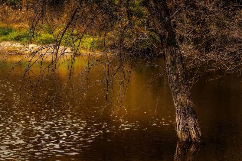 Осенняя хандра. фото превью