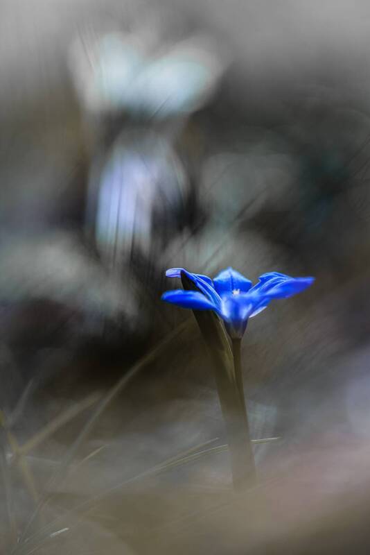 У водопада фото превью