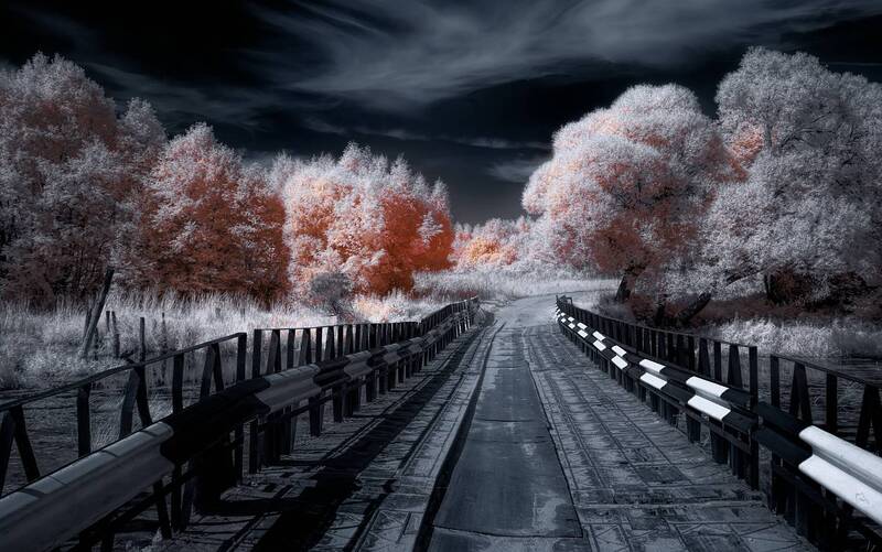 infrared, инфракрасная фотография, ик-фото, лето, пейзаж, инфракрасное фото Добро пожаловать в инфракрасный мир. Интересный и неповторимый. фото превью