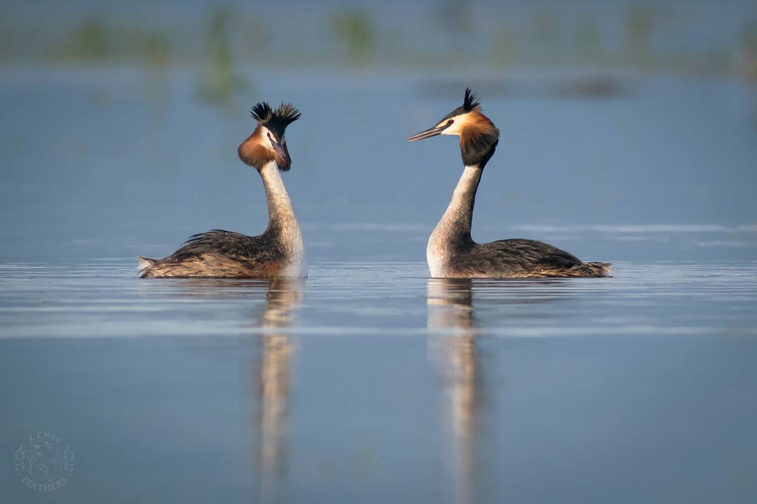 , Евгени Стефанов