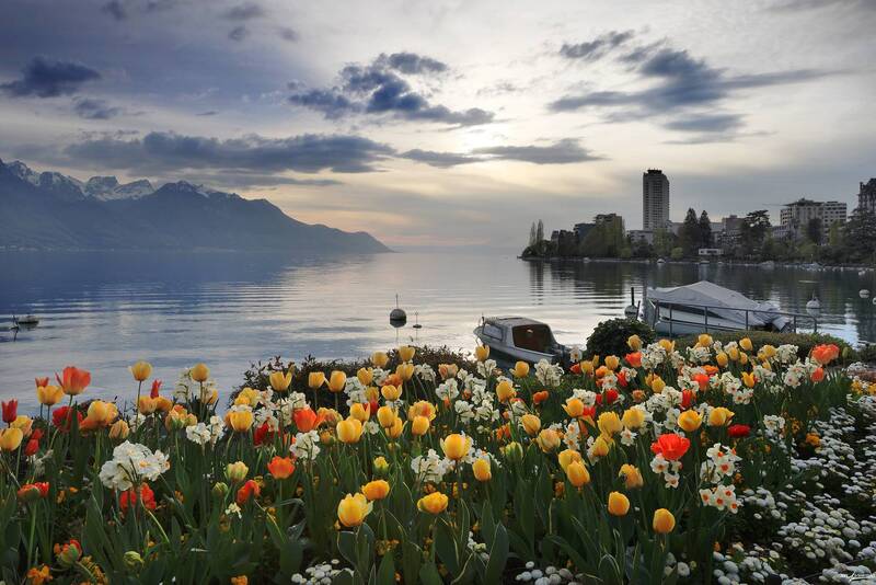 swiss Вечерний город.. фото превью