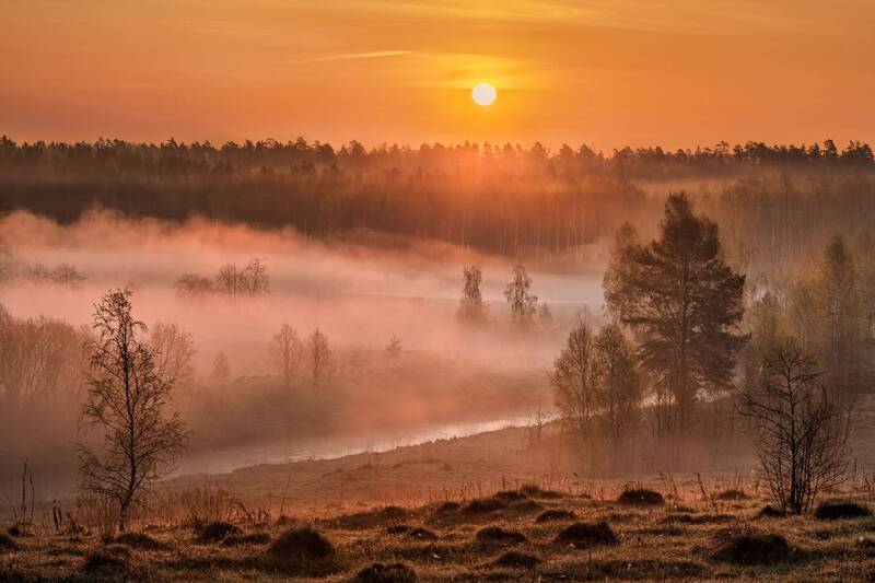 * фото превью