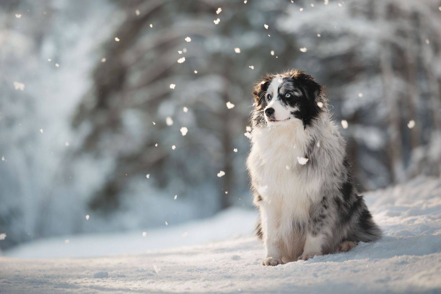 , Яна Нарбутович