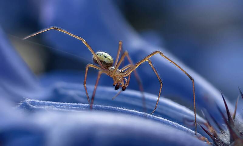 ... фото превью