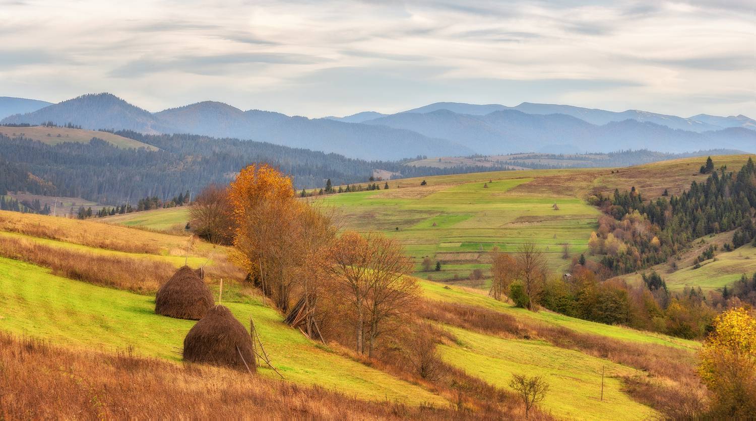 пейзаж, Липецких Владимир