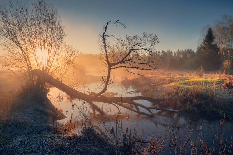 В «короне» ... фото превью