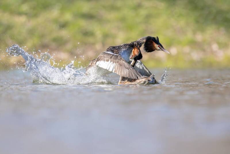 Спешу скорей тебя обнять! фото превью