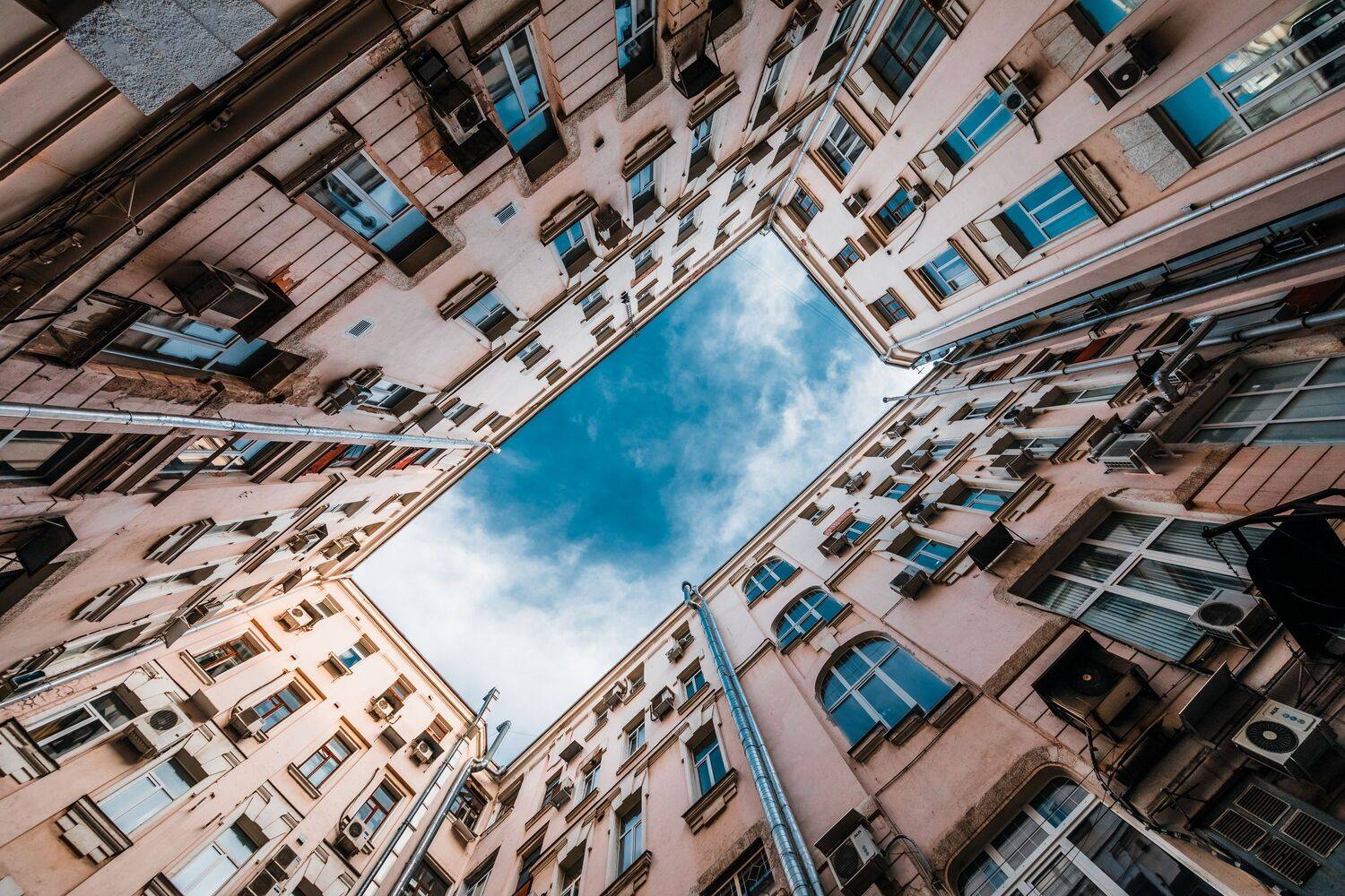 , Трепольский Дмитрий