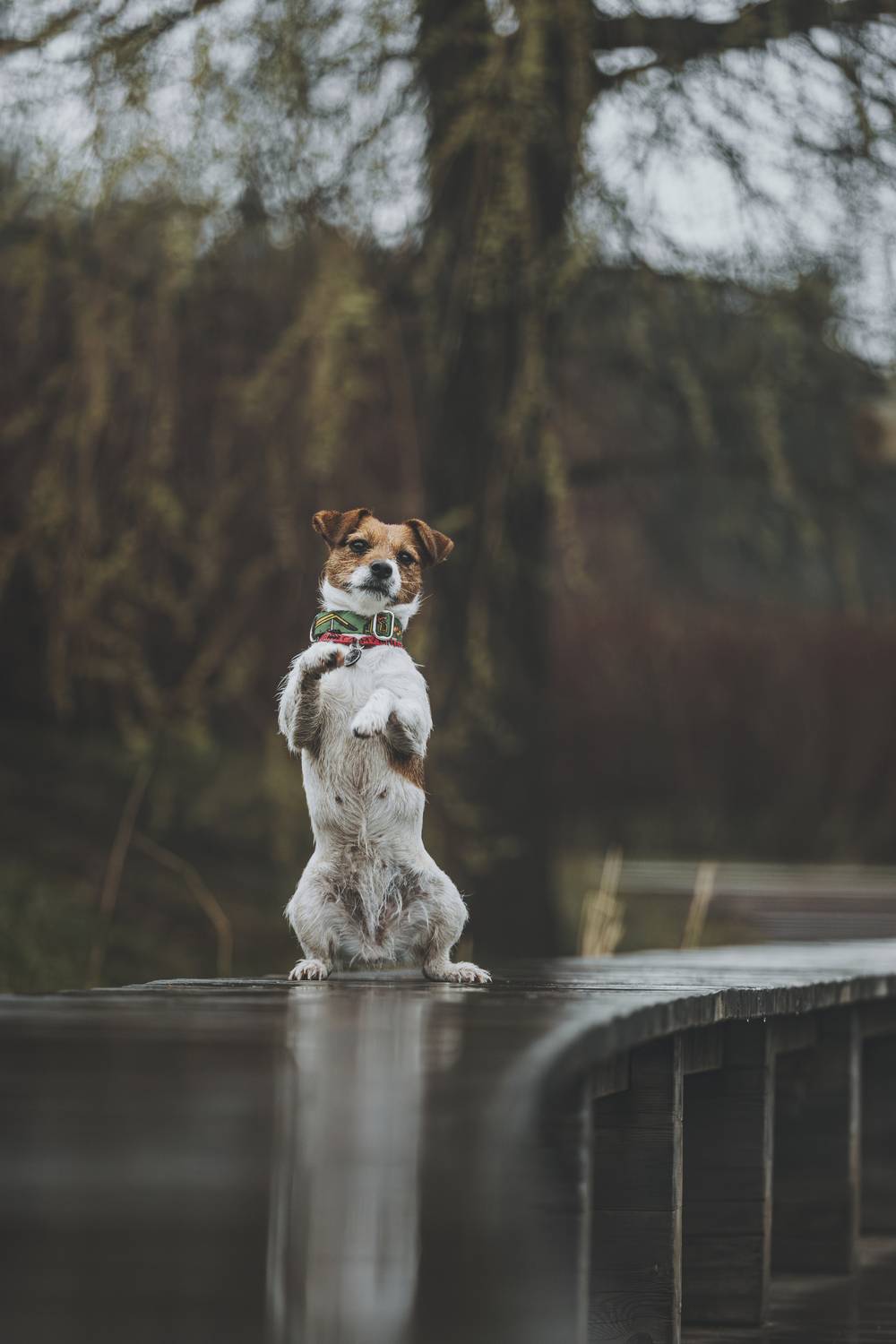 , Беспалова Полина