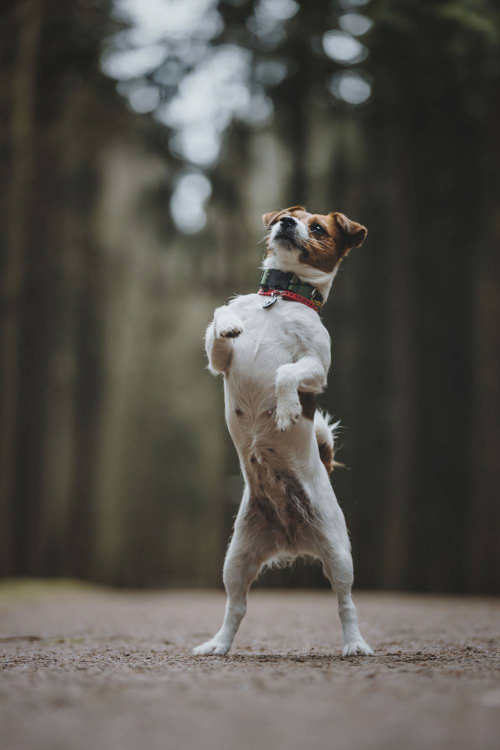 , Беспалова Полина